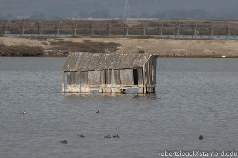 Stevens Creek Shoreline